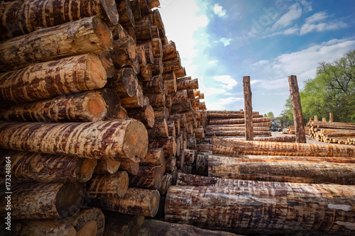 Holzwirtschaft - Lagerung von Rundholz für Sägewerk