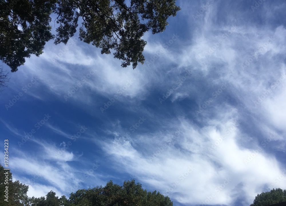 autumn sky with clouds