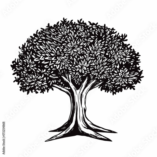 Tree Vector Illustration Logo Template 