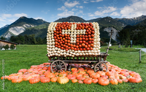 old wooden wagon with Swiss flag made of pumpkins and many orange pumpkins and mountain landscape photo