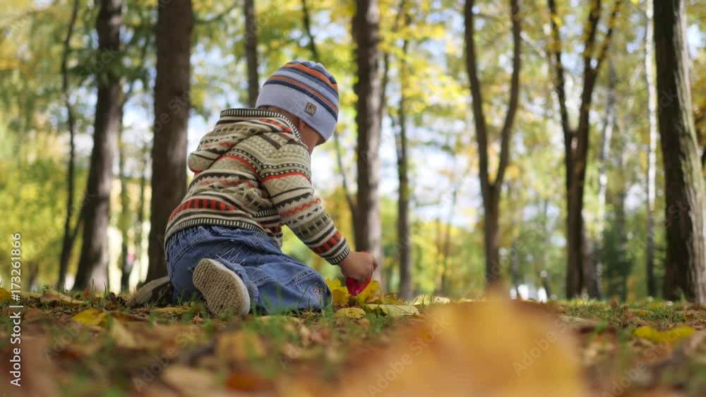 Child in autumn Park having fun playing with leaves, Walks in the fresh air Child in autumn Park having fun playing with leaves, Walks in the fresh air