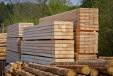 Holzwirtschaft - Sägewerk, Bauholzstapel zwischen Rundholzhaufen