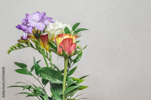 Wallpaper Mural Blumenstrauß Torontodigital.ca