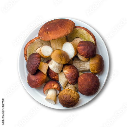 Porcini Mushrooms On Plate Isolated On White Background
