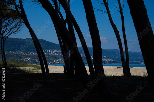 scorcio di paesaggio © Pasquale