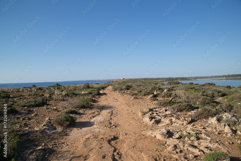 Sentiero alla costa, Riserva naturale orientata Oasi faunistica di Vendicari, primavera 
