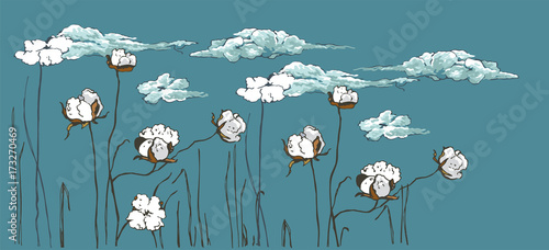 

Gossypium, cotton flowers turn into light clouds
