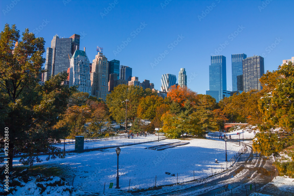 Naklejka premium Fall Snow on Central Park, New York City.