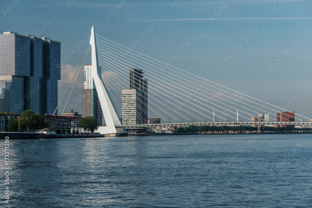 Rotterdam city cityscape skyline with Erasmus bridge and river. South Holland, Netherlands.