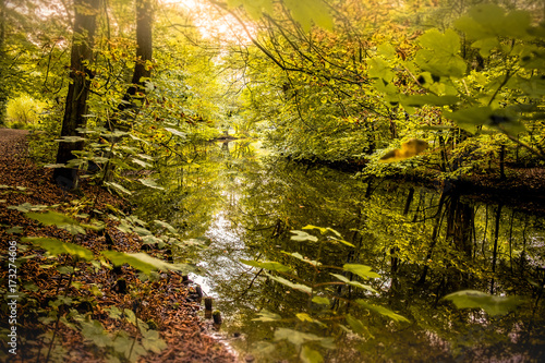 Fototapeta Naklejka Na Ścianę i Meble -  Fluss im Herbst