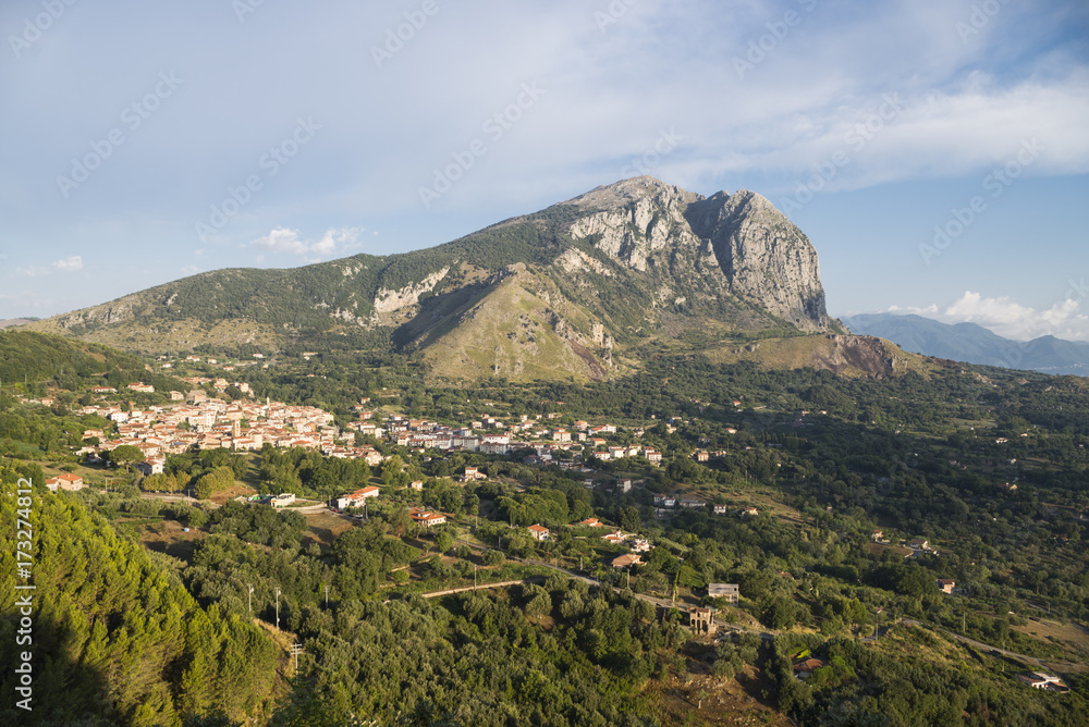Obraz premium Das Bergmassiv Monte Bulgheria im Cilento in der Morgensonne vor Olivenheinen, Weinreben und dem Ort San Giovanni a Pirlo