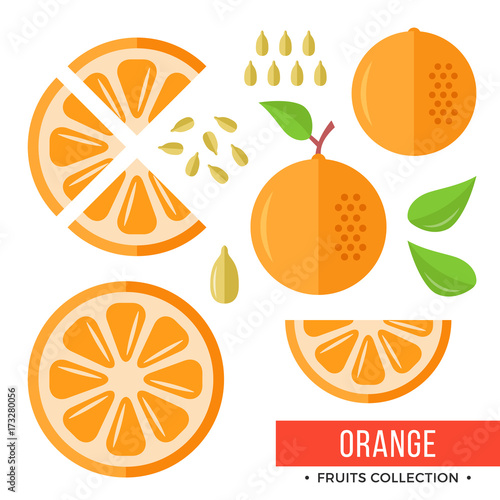 Orange. Whole orange and parts, slices, seeds, leaves. Set of fruits. Flat design graphic elements. Vector illustration