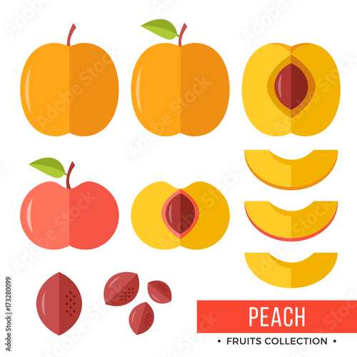 Peach. Whole peach and parts, slices, pits, leaves, core. Set of fruits. Flat design graphic elements. Vector illustration