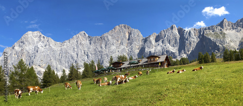 Das Dachstein Massiv im steirischen Ennstal photo