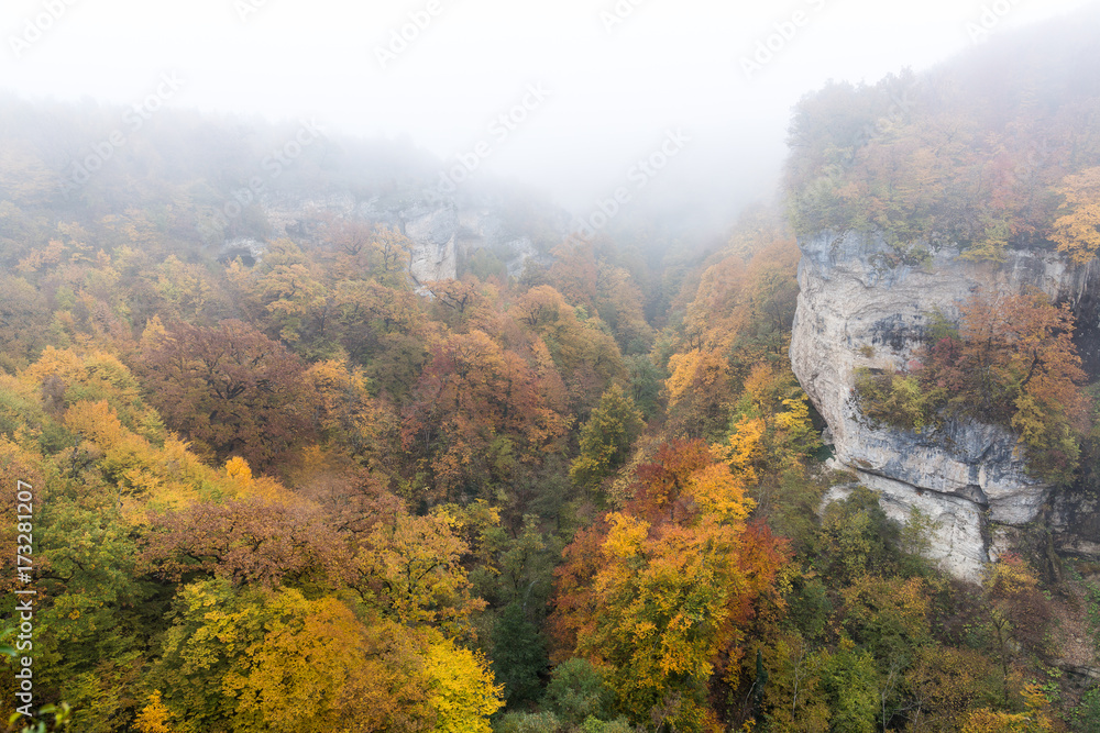 inspiration, walking, fall concept. breathtaking and highly picturesque view on the autumn forest that grows in ravine between two sheer cliffs, golden, red and yellow trees are covered by fog inspiration, walking, fall concept. breathtaking and highly picturesque view on the autumn forest that grows in ravine between two sheer cliffs, golden, red and yellow trees are covered by fog