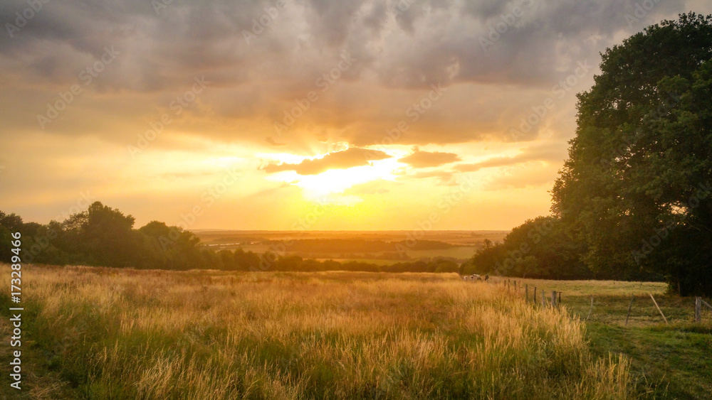 Fototapeta premium Sunset on the beautiful meadow of the French countryside.