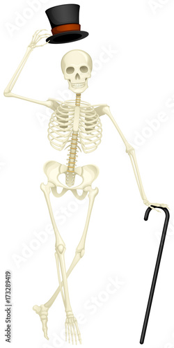 Vector illustration of a skeleton with a top hat and a cane.