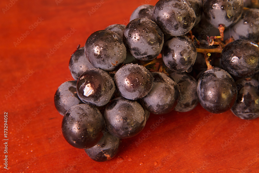 Fototapeta premium Ukrainian grapes VI