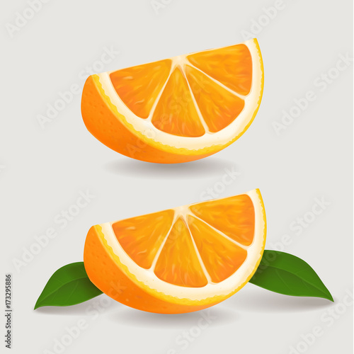 Fresh orange fruit slice with green leaves. Realistic vector illustration