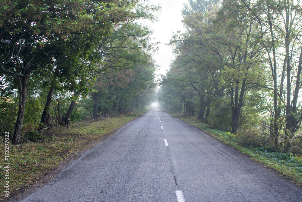 Fototapeta premium road in the countryside