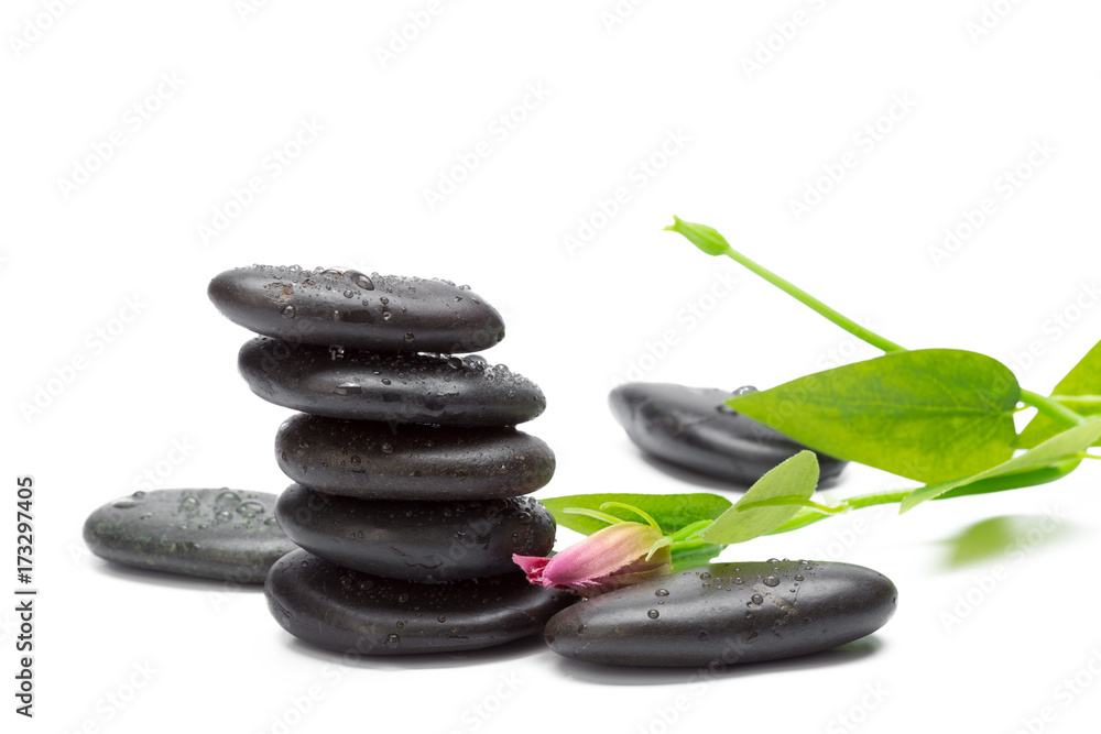 Spa stones and orchid flowers, isolated on white. Spa stones and orchid flowers, isolated on white.