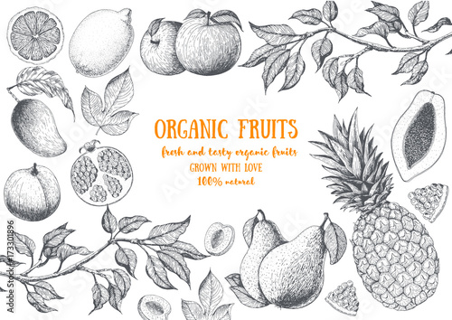 Fruits top view frame. Farmers market menu design. Healthy food poster. Vintage hand drawn sketch, vector illustration. Linear graphic.