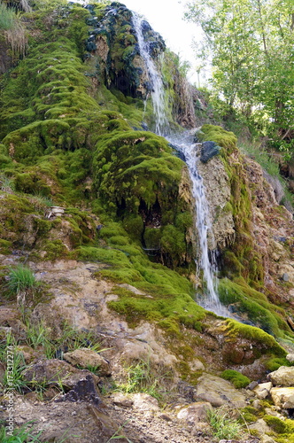 Stone wall with greenery and waterfall. Texture of nature. Background for text  banner  label.