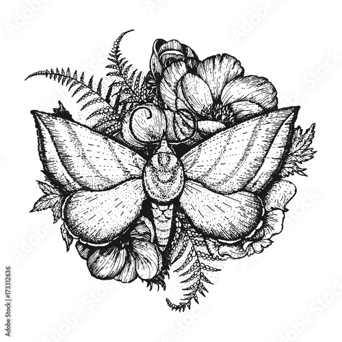 Butterfly vector illustration. Floral design. Calyptra hand drawn. Engraved image. photo