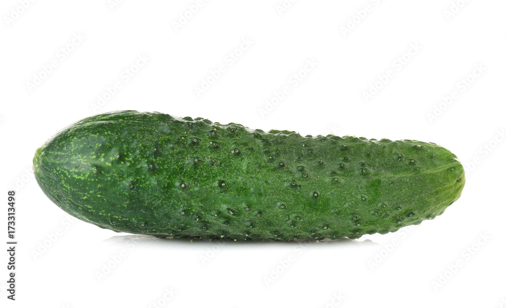 Fresh cucumber on white background Fresh cucumber on white background