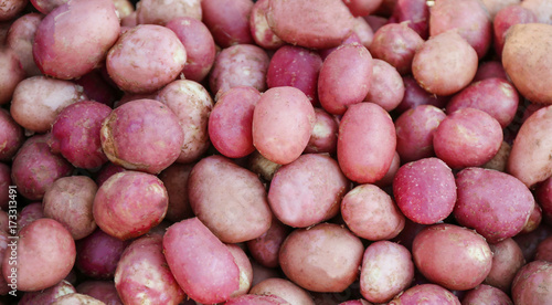 Pile of potato, closeup