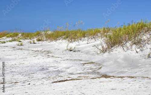 Konstfotografi Sea oats and sand dunes, Topsail Beach, North Carolina