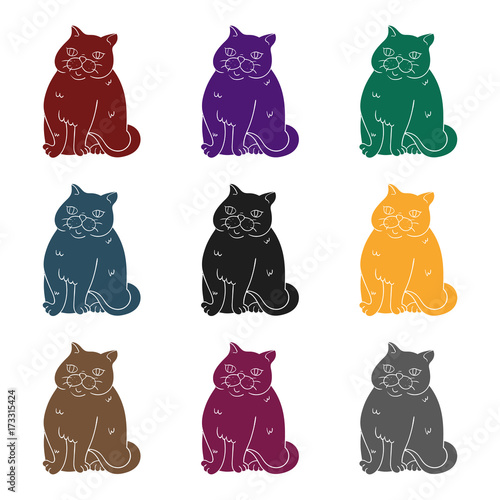 Exotic Shorthair icon in black style isolated on white background. Cat breeds symbol stock vector illustration.