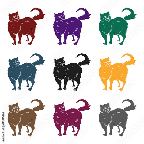 Persian icon in black style isolated on white background. Cat breeds symbol stock vector illustration.