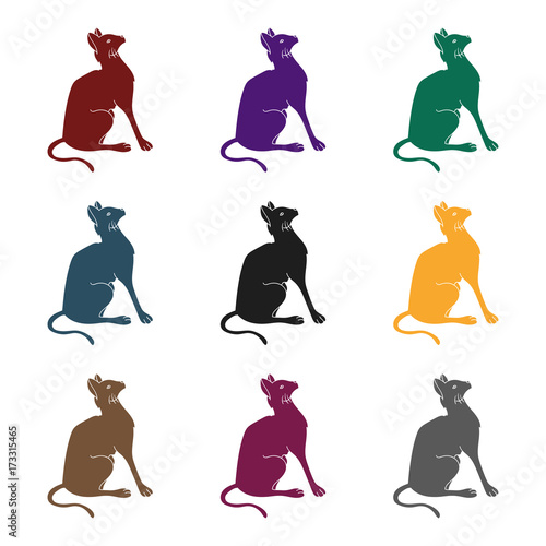 Siamese icon in black style isolated on white background. Cat breeds symbol stock vector illustration.