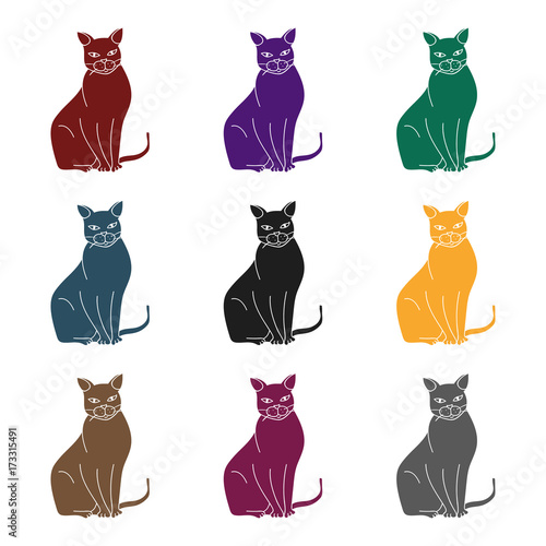 Chartreux icon in black style isolated on white background. Cat breeds symbol stock vector illustration.