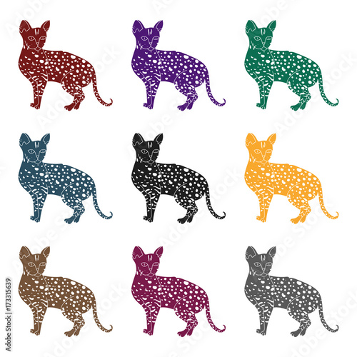 Savannah icon in black style isolated on white background. Cat breeds symbol stock vector illustration.