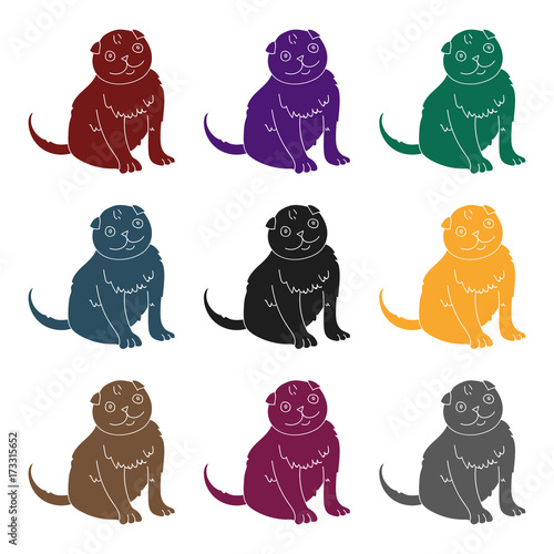 Scottish Fold icon in black style isolated on white background. Cat breeds symbol stock vector illustration.