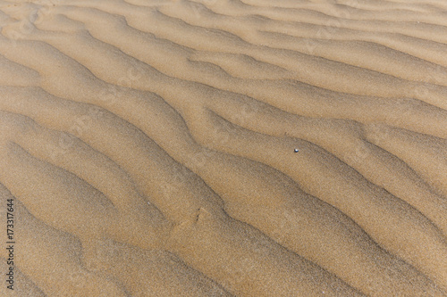 Texture of sand on the beach