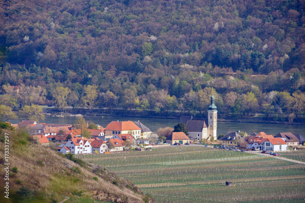 Aerial view of the Wachau valley. Grape fields near the town of Unterloiben (Duernstein) in Lower Austria.