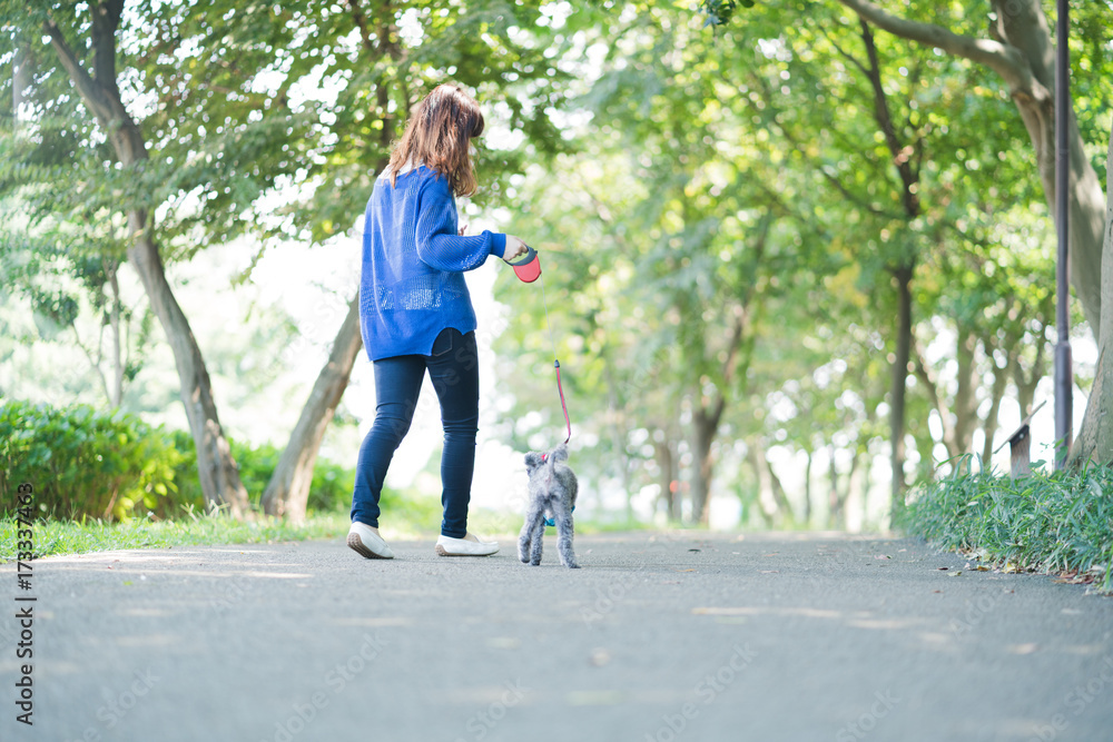 犬の散歩、女性、歩く、走る 犬の散歩、女性、歩く、走る