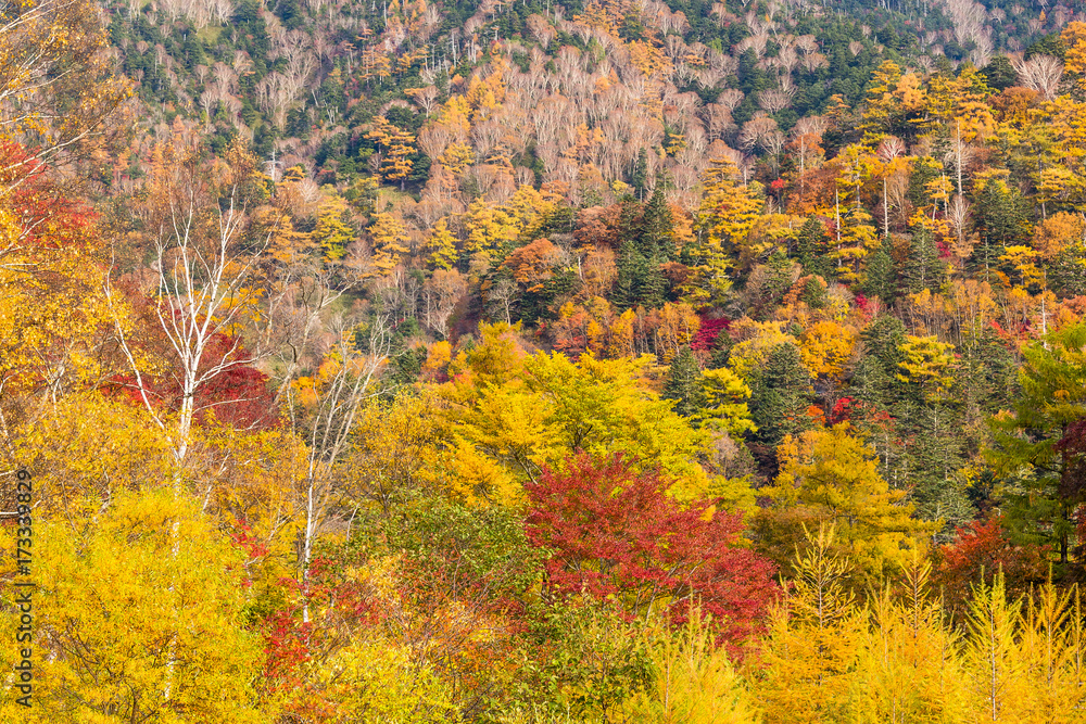 Nikko National Park Nikko National Park