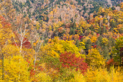 Nikko National Park