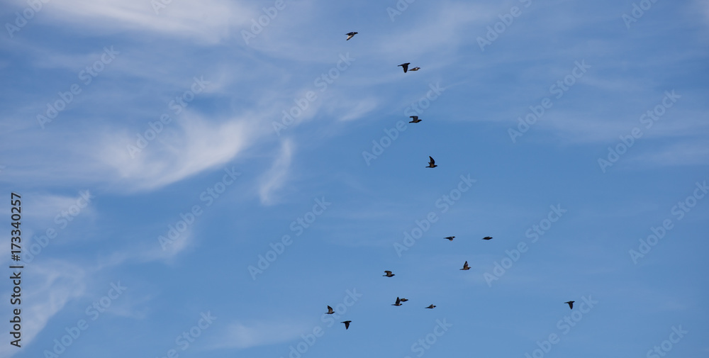 DIBUJOS EN EL CIELO DIBUJOS EN EL CIELO