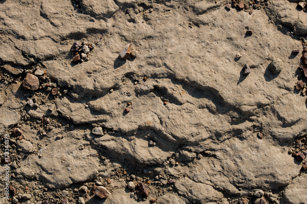 Solid North Dakota Badlands Sandstone Rock Texture