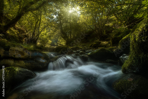 Forest river © inigocia