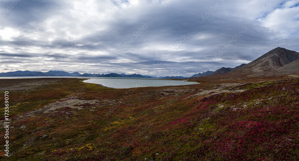 Gavriila Bay, tundra colours in Autumn
