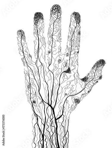 Hand drawn human hand blood vessels in silhouette