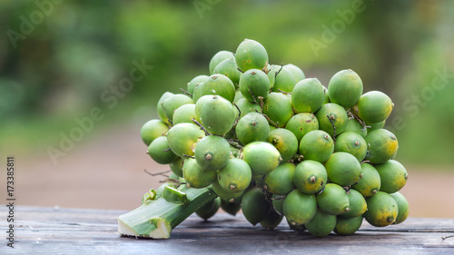 fresh betel nut with betel leaf isolated on the wood background
