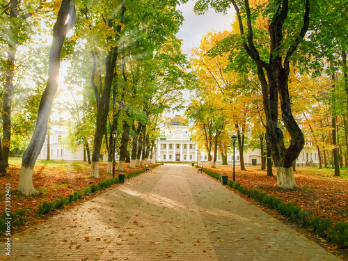 Fototapeta Naklejka Na Ścianę i Meble -  Alley leading to the palace in the autumn park