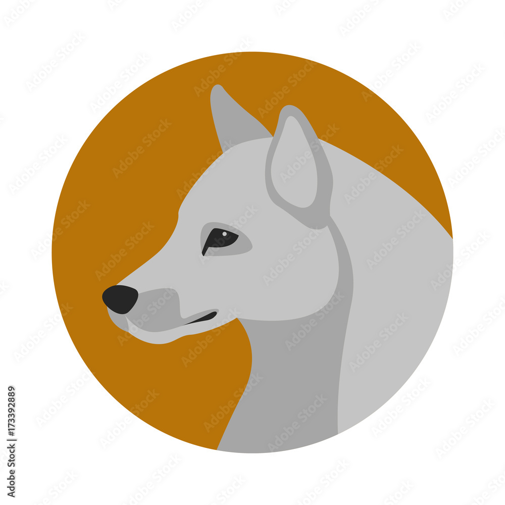 wolf head  vector illustration  flat style